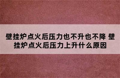 壁挂炉点火后压力也不升也不降 壁挂炉点火后压力上升什么原因